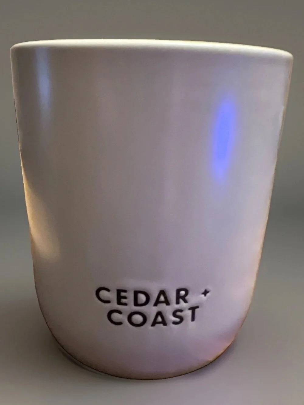 BELLEVUE LUXURY CANDLES CEDAR + COAST